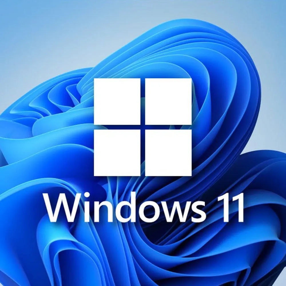 Windows 11